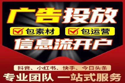 大型企业SEM外包实战案例